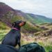 Photo Dog breed